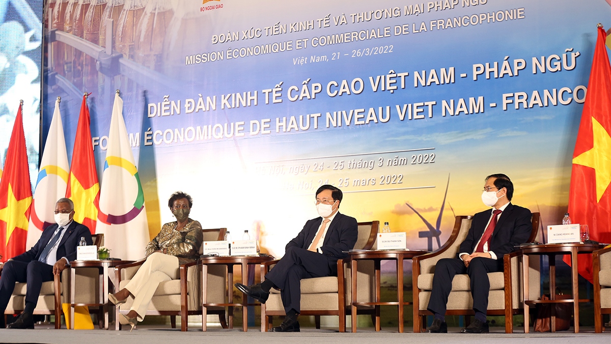 Vietnam supports stronger economic cooperation with OIF